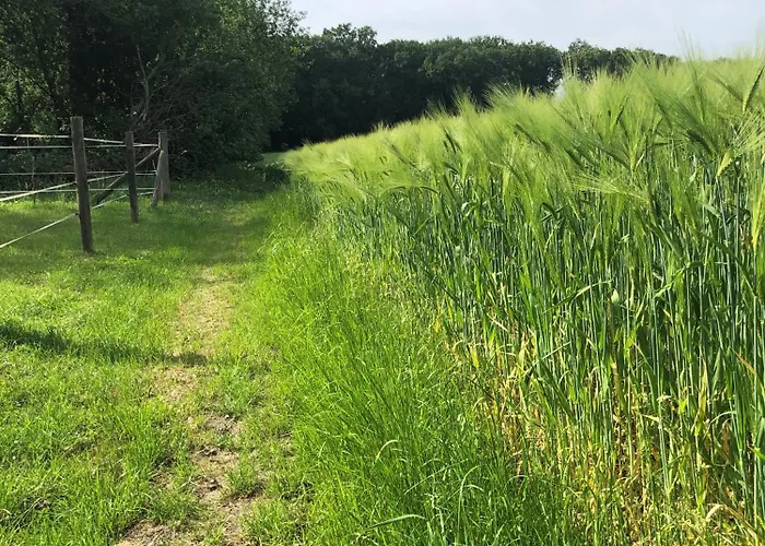 Вилла Ministerhaus - Historisches Anwesen Fuer Gruppen Und Seminare