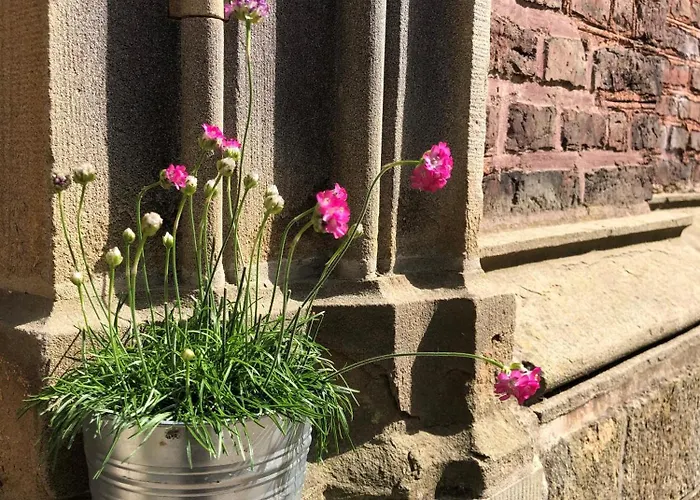 Ministerhaus - Historisches Anwesen Fuer Gruppen Und Seminare * Бергкамен